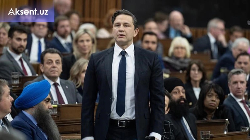 Busty, katta eshakli ayollar porno